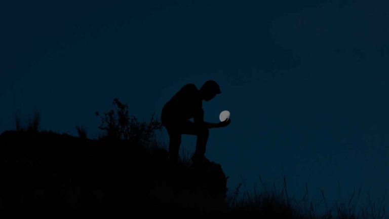 Seeing a bat in a dream meaning